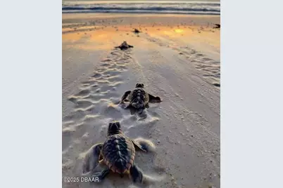 1133 Ocean Shore Boulevard #505, Ormond Beach, FL 32176 - Photo 44