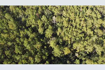 4619 State Hwy 100 W, Bunnell, FL 32110 - Photo 6