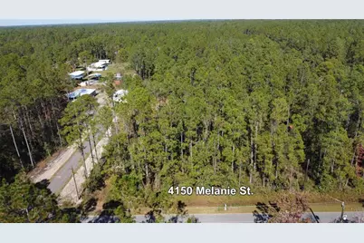 4150 Melanie Street, Hastings, FL 32145 - Photo 6