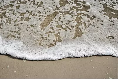 6 Manatee Court, Saint Augustine, FL 32080 - Photo 64