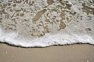 6 Manatee Ct, Saint Augustine, FL 32080 - Photo 64