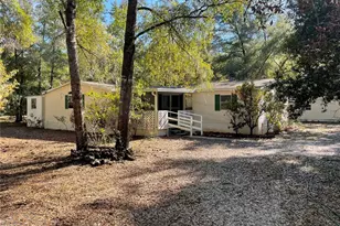 13894 NE 245th Street Rd, Fort Mc Coy, FL 32134 - Photo 1