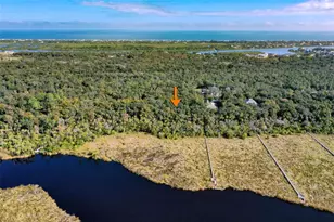 105 Bridle Ridge Ct, Flagler Beach, FL 32136 - Photo 1