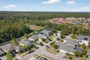 384 Leoni St, New Smyrna Beach, FL 32168 - Photo 46