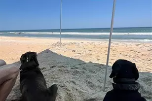 12 Moody Dr, Palm Coast, FL 32137 - Photo 50