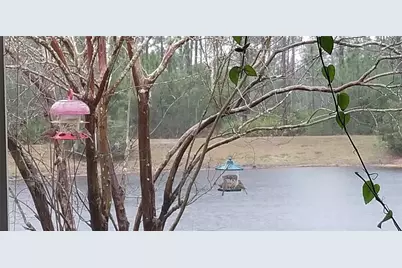 237 N Hidden Tree Drive, Saint Augustine, FL 32086 - Photo 44