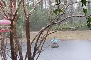 237 N Hidden Tree Dr, Saint Augustine, FL 32086 - Photo 44