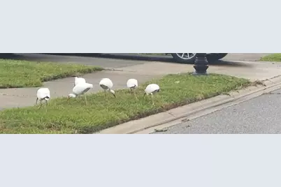 237 N Hidden Tree Drive, Saint Augustine, FL 32086 - Photo 50