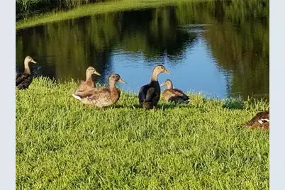 237 N Hidden Tree Drive, Saint Augustine, FL 32086 - Photo 42