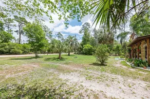 133 Seminole Trail, Georgetown, FL 32139 - Photo 8