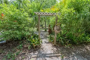 133 Seminole Trail, Georgetown, FL 32139 - Photo 52