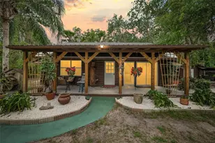 133 Seminole Trail, Georgetown, FL 32139 - Photo 1