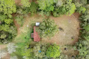 5255 Peggy Ln, Middleburg, FL 32068 - Photo 44