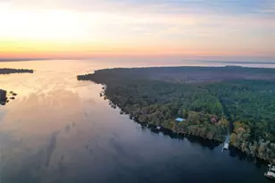 122 Drayton Island Rd, Georgetown, FL 32139 - Photo 52