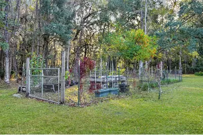 122 Drayton Island Road, Georgetown, FL 32139 - Photo 46