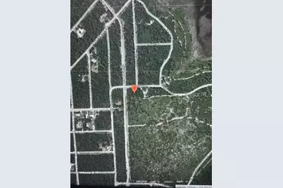 105 Easy Lane, Satsuma, FL 32189 - Photo 1