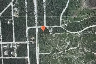 107 Easy Ln, Satsuma, FL 32189 - Photo 1