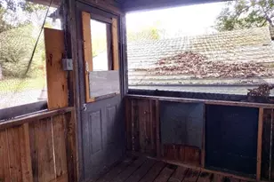 5638 Nutwood Ave, Bunnell, FL 32110 - Photo 14