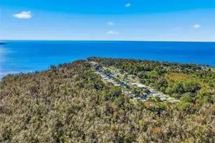 1605 Bass Ave, Seville, FL 32190 - Photo 64