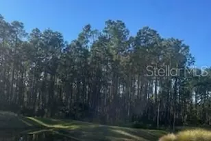 64 Redbud Rd, Palm Coast, FL 32137 - Photo 12