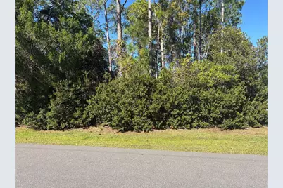 1 Zanzibar Court, Palm Coast, FL 32164 - Photo 6