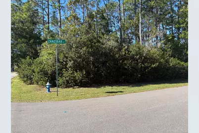 1 Zanzibar Court, Palm Coast, FL 32164 - Photo 1