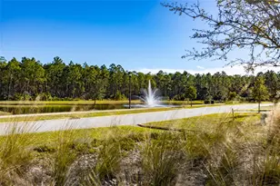 3 Newhaven Ln, Ormond Beach, FL 32174 - Photo 26