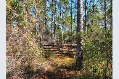 0 Boice Lane, Ormond Beach, FL 32174 - Photo 2