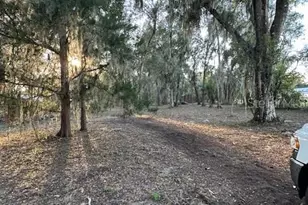 374 Sisco Rd, Pomona Park, FL 32181 - Photo 18