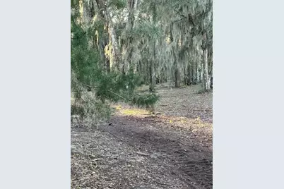 374 Sisco Road, Pomona Park, FL 32181 - Photo 16