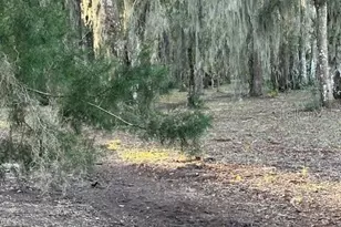 374 Sisco Rd, Pomona Park, FL 32181 - Photo 16