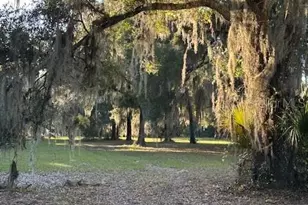 374 Sisco Rd, Pomona Park, FL 32181 - Photo 22