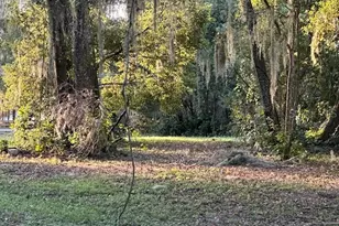 374 Sisco Rd, Pomona Park, FL 32181 - Photo 8