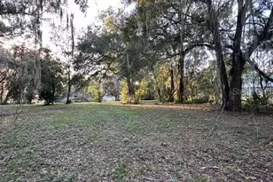 374 Sisco Rd, Pomona Park, FL 32181 - Photo 6