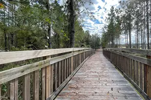 3 Oakleaf Way, Palm Coast, FL 32137 - Photo 58