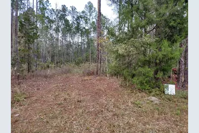 4374 Clove Avenue, Bunnell, FL 32110 - Photo 4