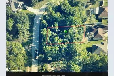 8065 N Maltese Drive, Citrus Springs, FL 34433 - Photo 2