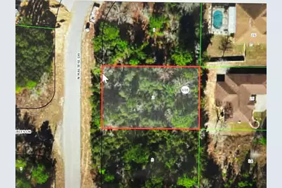 8065 N Maltese Drive, Citrus Springs, FL 34433 - Photo 1