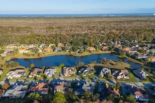 110 New Leatherwood Dr, Palm Coast, FL 32137 - Photo 40