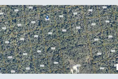 000 Reed Grove Road, Oak Hill, FL 32759 - Photo 2