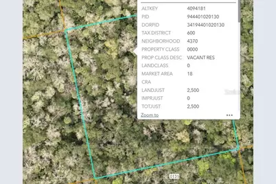 000 Reed Grove Road, Oak Hill, FL 32759 - Photo 1