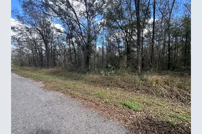 10040 McMahon Avenue, Hastings, FL 32145 - Photo 2