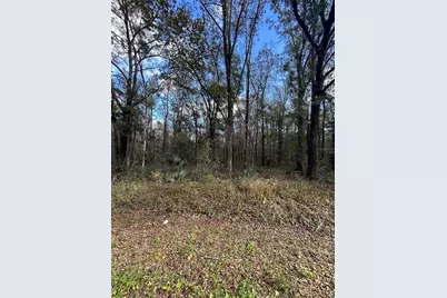 10040 McMahon Avenue, Hastings, FL 32145 - Photo 10