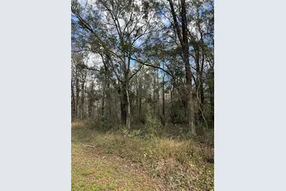 10040 McMahon Avenue, Hastings, FL 32145 - Photo 8