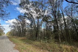 10040 McMahon Ave, Hastings, FL 32145 - Photo 1