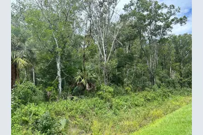 10040 McMahon Avenue, Hastings, FL 32145 - Photo 2