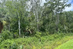 10040 McMahon Ave, Hastings, FL 32145 - Photo 1