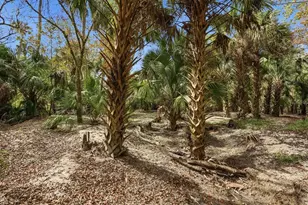 120 Creek Crossing Rd, Port Orange, FL 32128 - Photo 30