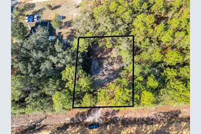 331 Quail Hollow Road, Satsuma, FL 32189 - Photo 8