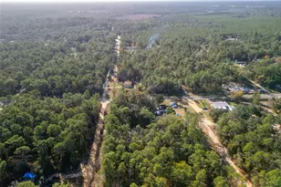 331 Quail Hollow Rd, Satsuma, FL 32189 - Photo 1